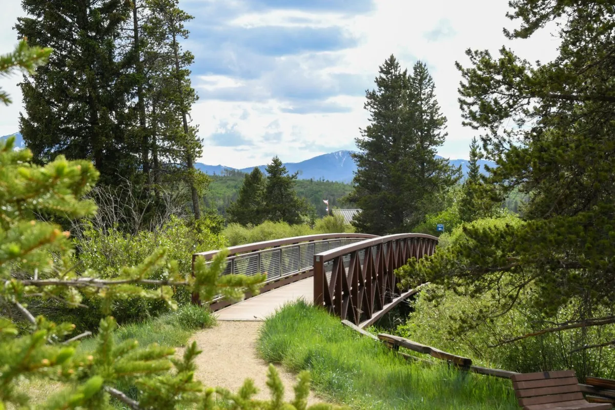 A scenic view of a bridge crossing the Fraser River, framed by trees and mountains. The area invites walking, hiking, and the enjoyment of local wildlife, aligning with the section's mention of riverside strolls and nature activities.