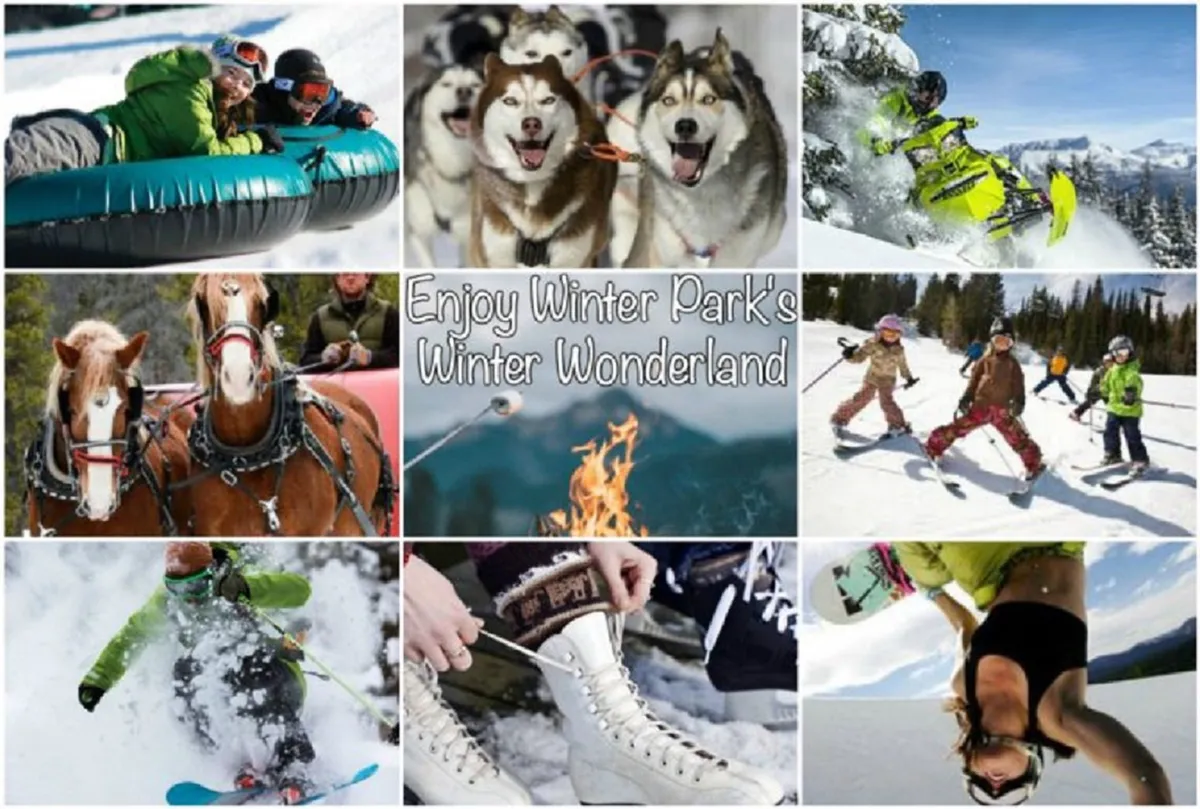 A dynamic composition showing people tubing down a snowy hill, huskies pulling sleds, children playing in the snow, snowboarders, and a cozy fire pit. The scene is vibrant and full of activity, suggesting a range of winter fun for families and thrill-seekers.